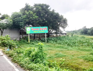 Project Road Side View